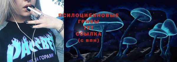 первитин Алексин