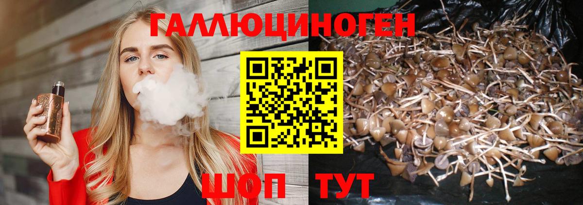 Кропоткин  Псилоцибиновые грибы Magic Shrooms  Вход с VPN 